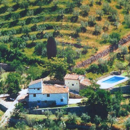 Agriturismo Montereggi Fiesole Chambre photo